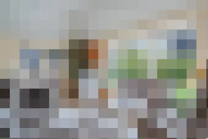 Bultweg 25 R 3 De Bult thumbnail 8