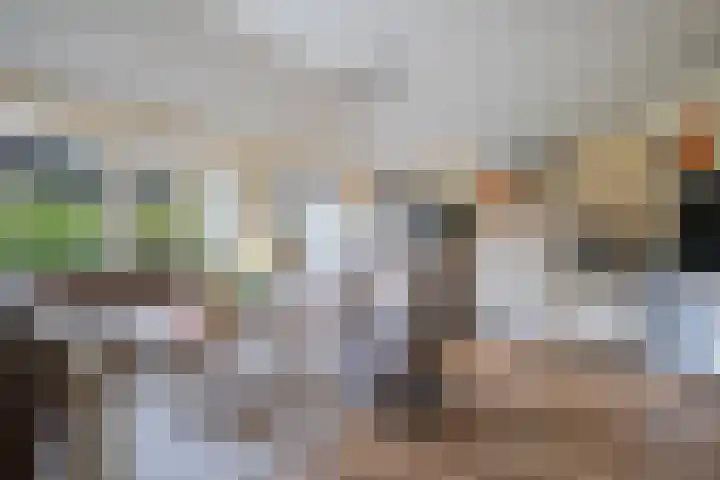 Bultweg 25 R 3 De Bult thumbnail 9