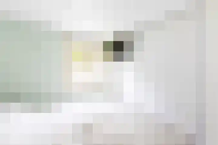 Bultweg 25 R 57 De Bult thumbnail 11