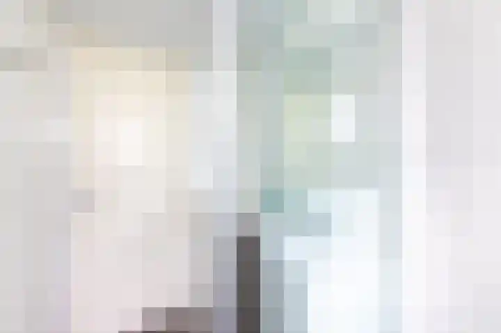 Bultweg 25 R 57 De Bult thumbnail 16