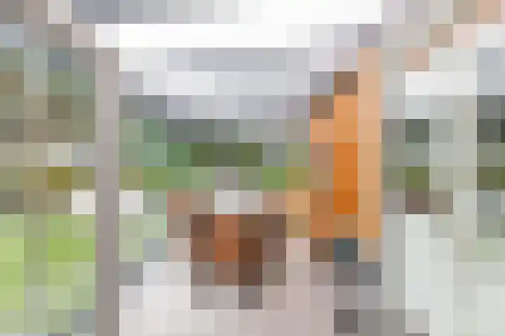 Bultweg 25 R 57 De Bult thumbnail 17