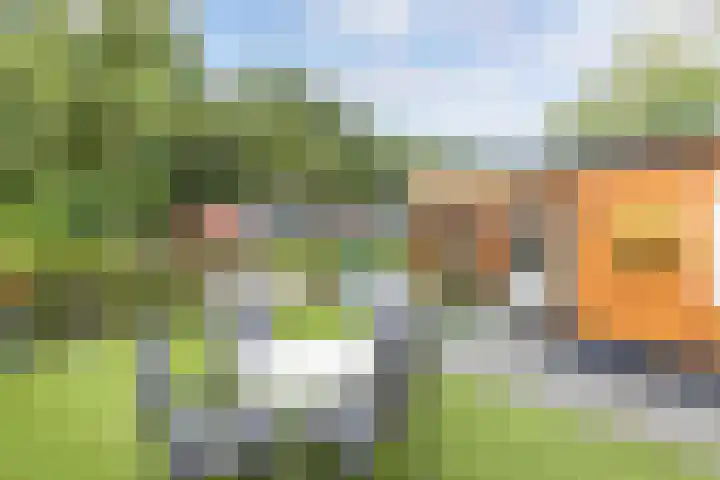 Bultweg 25 R 57 De Bult thumbnail 20