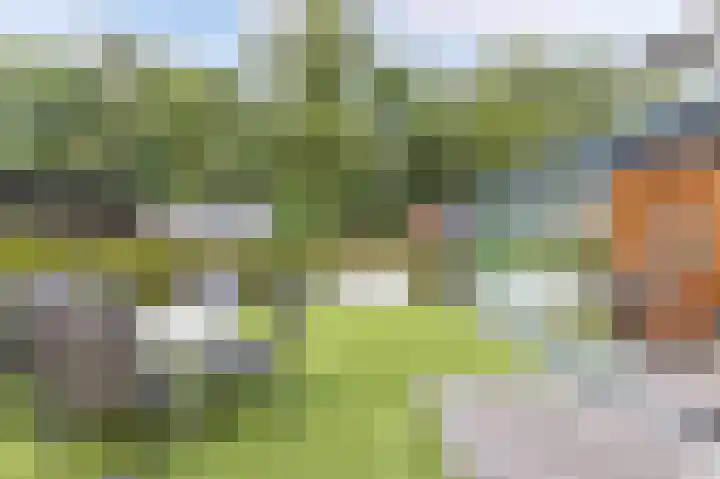 Bultweg 25 R 57 De Bult thumbnail 21