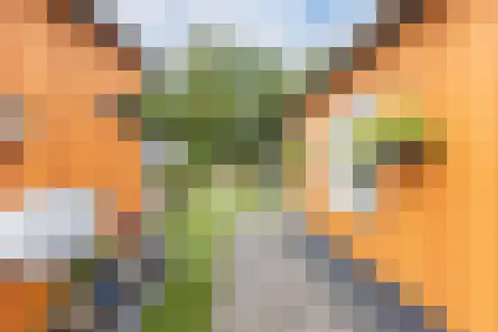 Bultweg 25 R 57 De Bult thumbnail 22