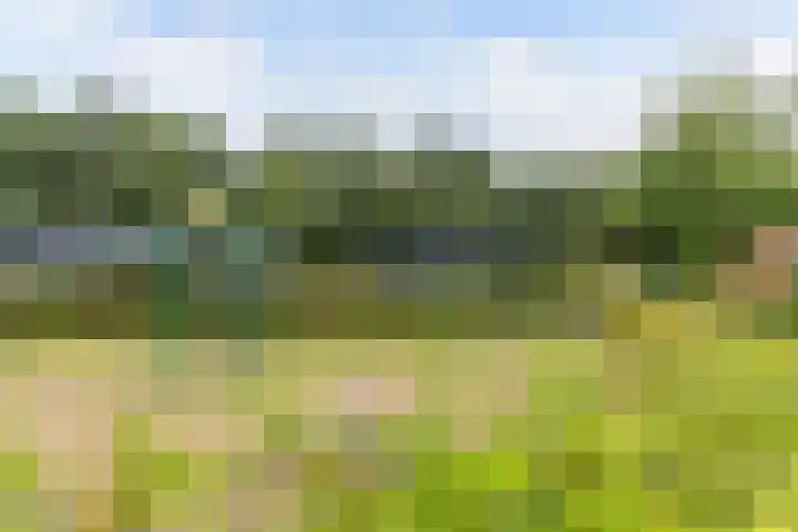 Bultweg 25 R 57 De Bult thumbnail 26