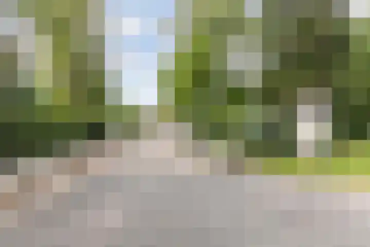 Bultweg 25 R 57 De Bult thumbnail 28