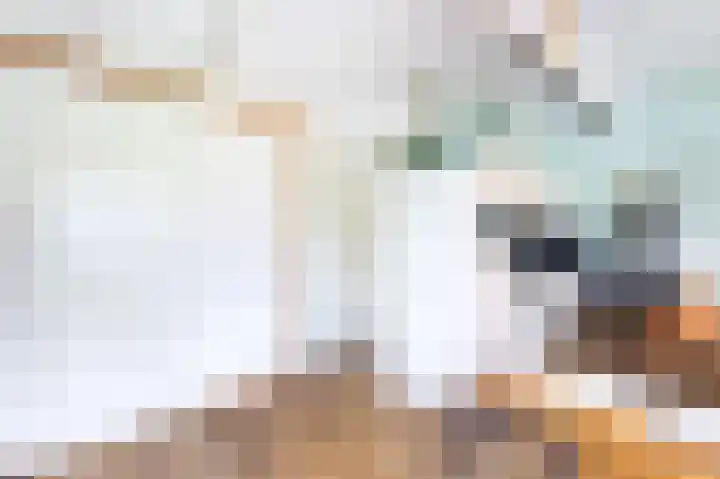 Bultweg 25 R 57 De Bult thumbnail 8