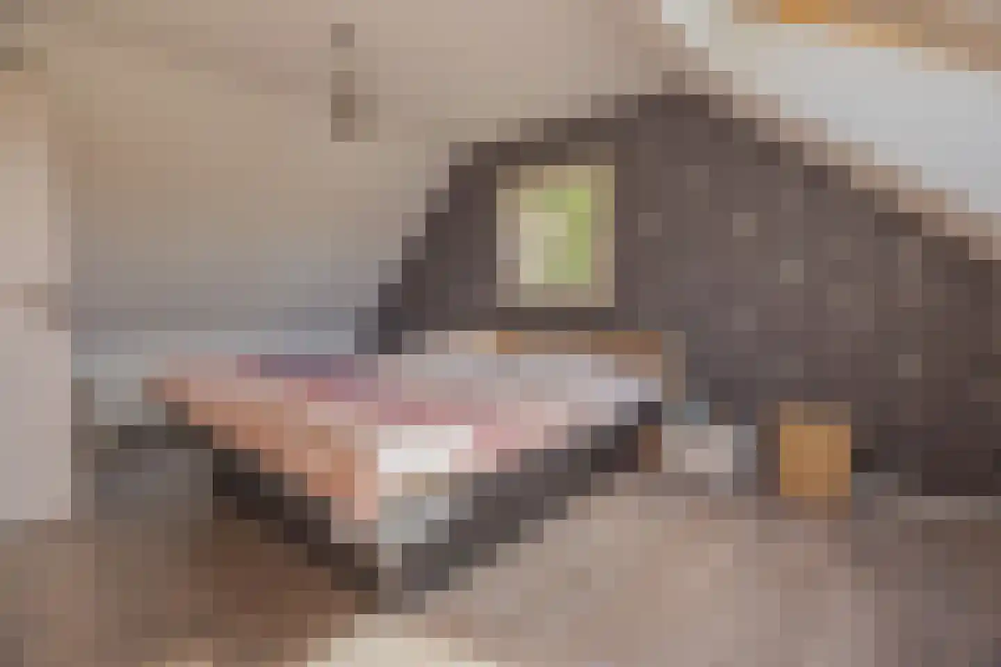 Bultweg 7 Schoonebeek thumbnail 11