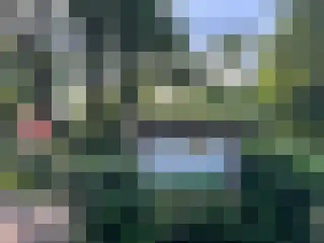 Bultweg 7 Schoonebeek thumbnail 14