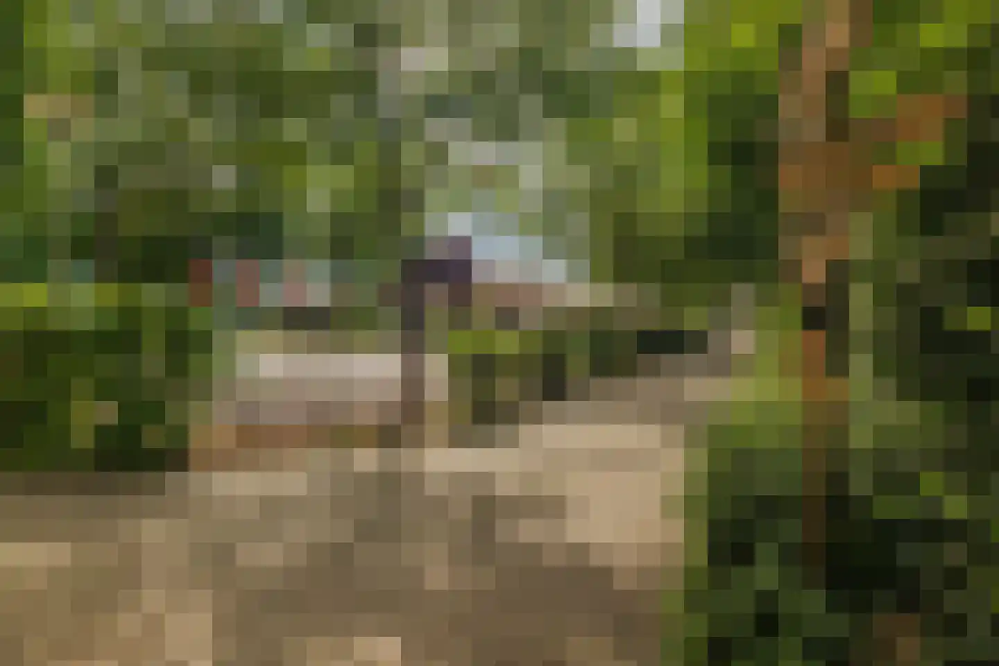 Bultweg 7 Schoonebeek thumbnail 15