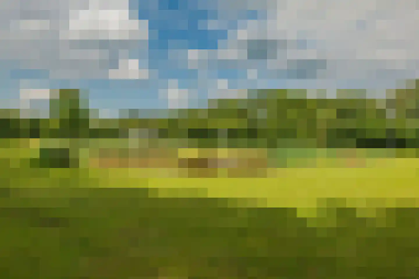 Bultweg 7 Schoonebeek thumbnail 16