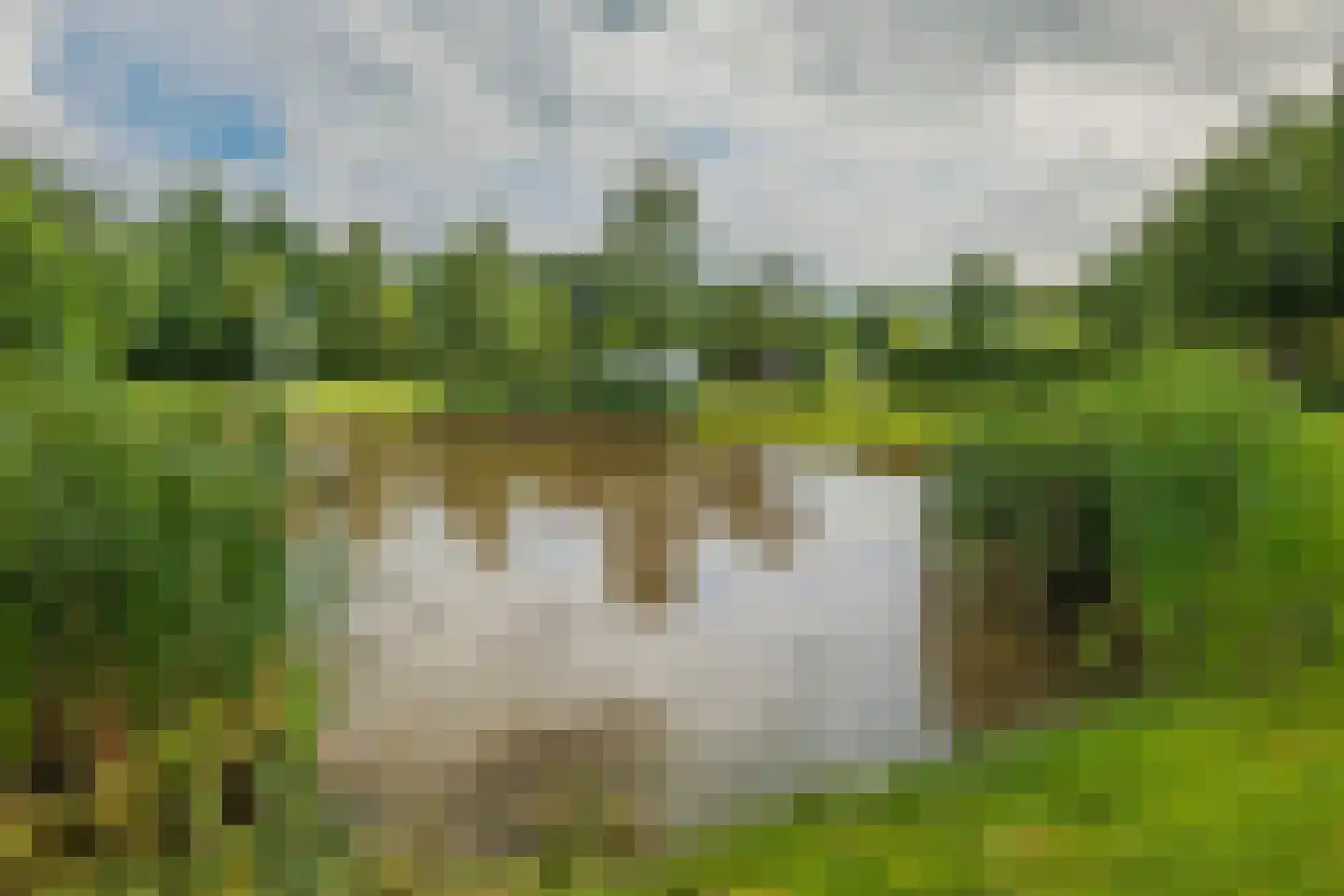 Bultweg 7 Schoonebeek thumbnail 17