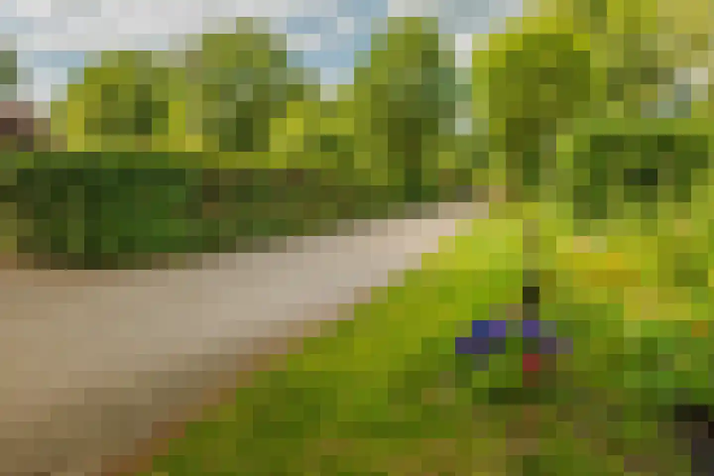 Bultweg 7 Schoonebeek thumbnail 20