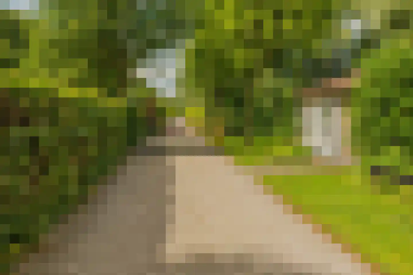 Bultweg 7 Schoonebeek thumbnail 21