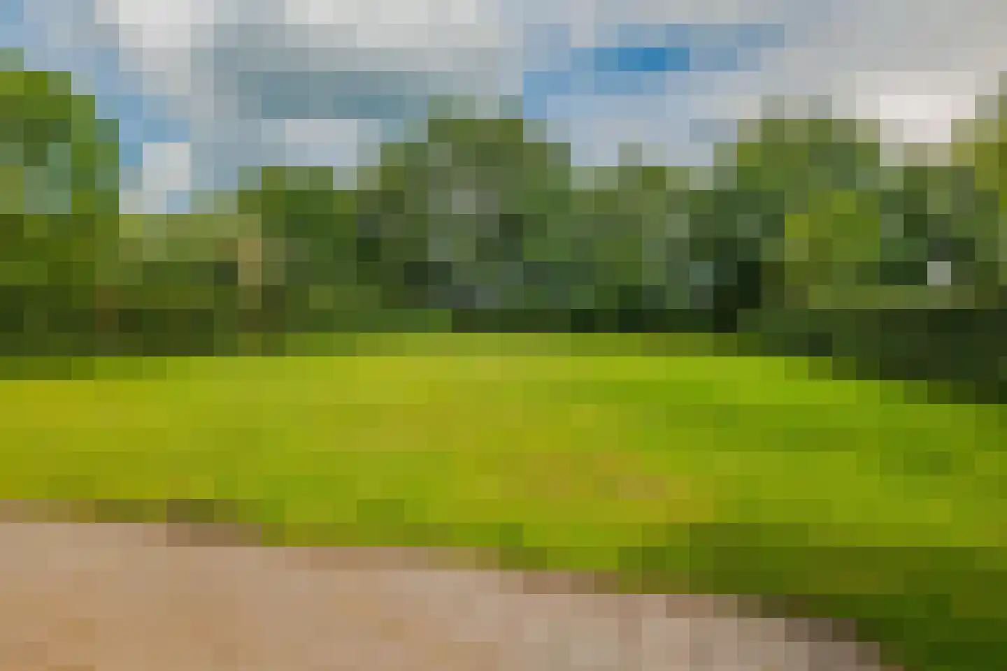 Bultweg 7 Schoonebeek thumbnail 22
