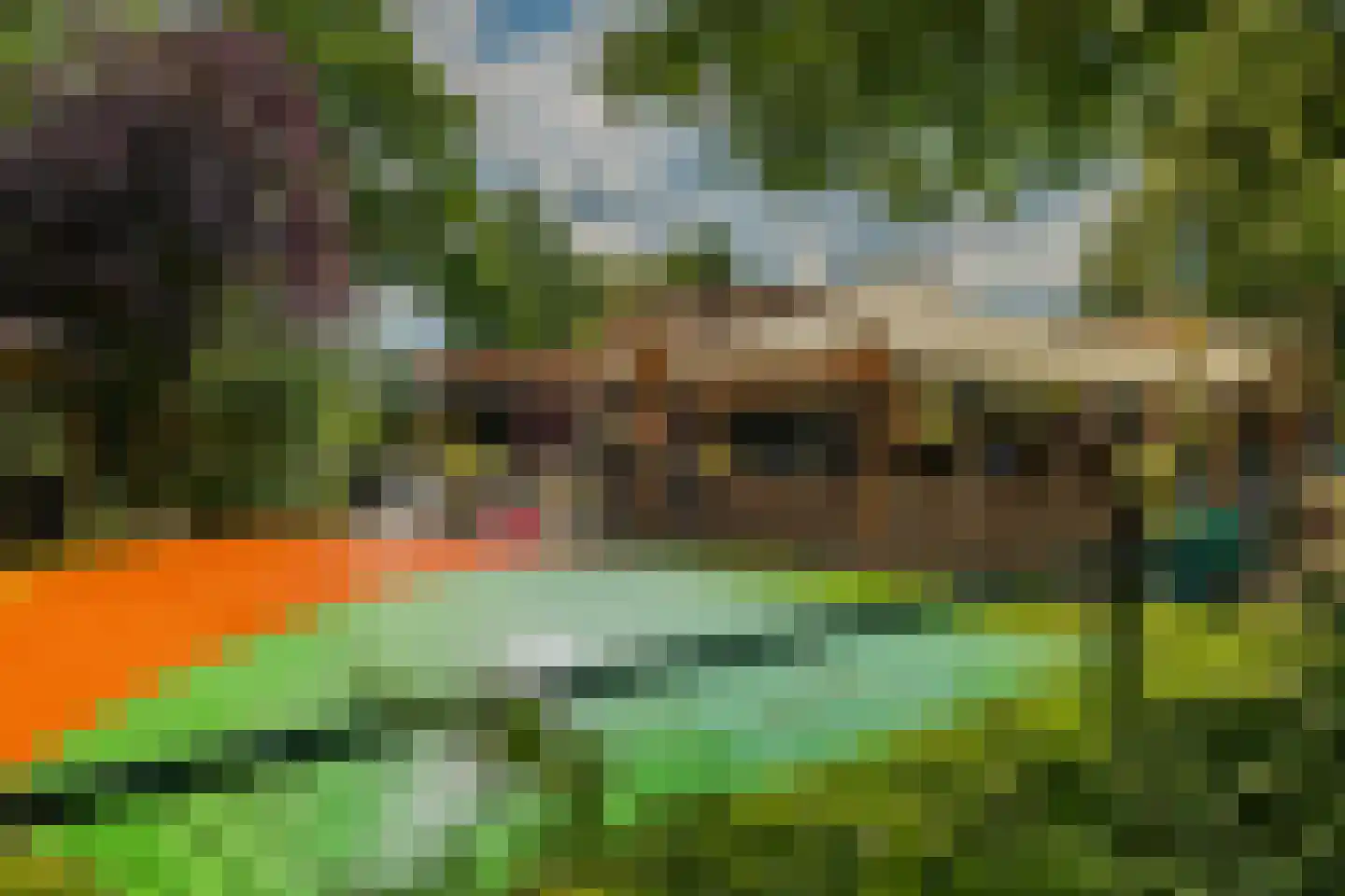 Bultweg 7 Schoonebeek thumbnail 25