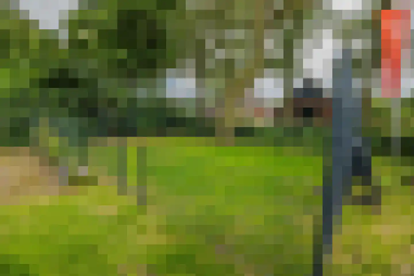 Bultweg 7 Schoonebeek thumbnail 28
