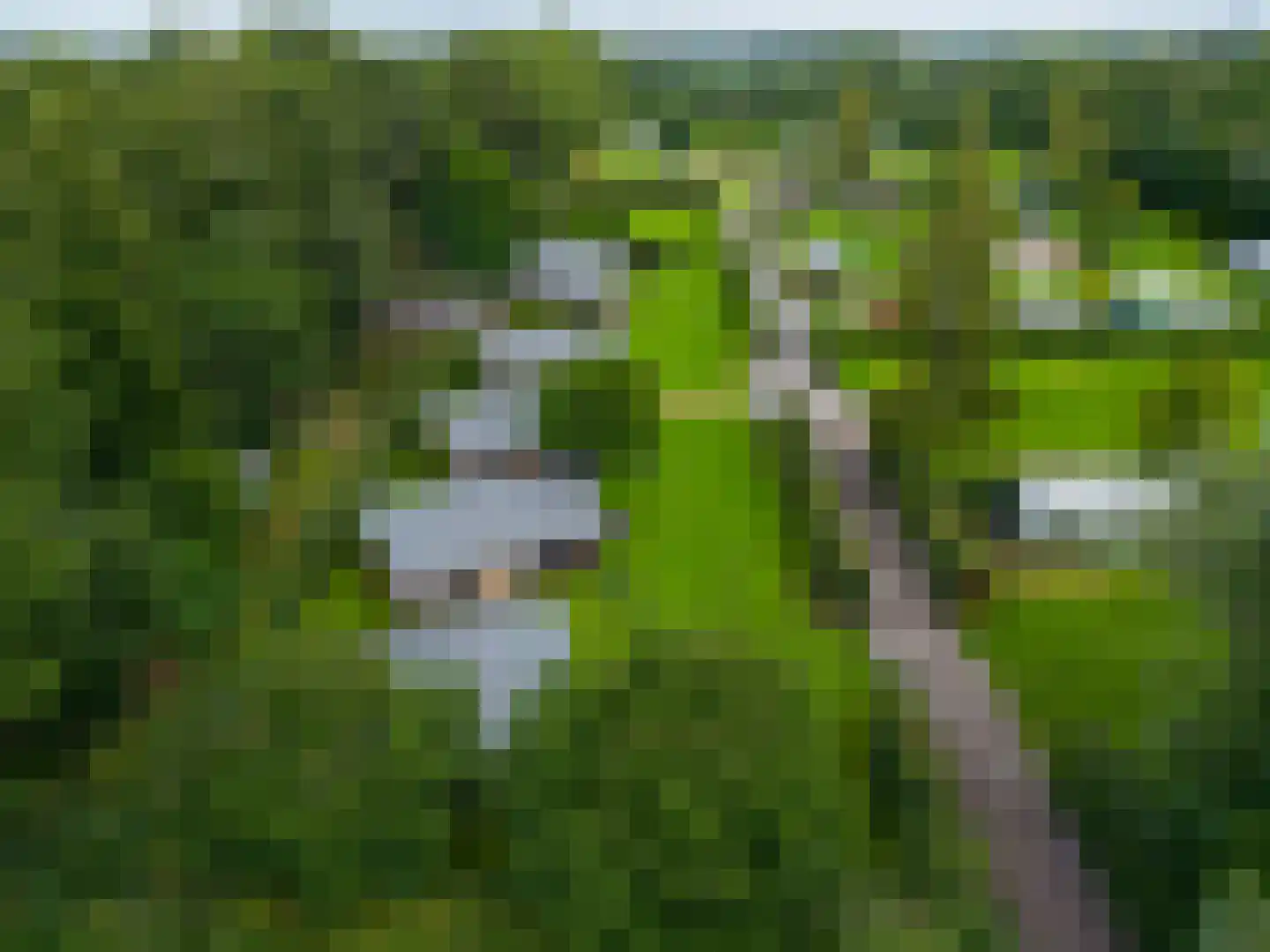 Bultweg 7 Schoonebeek thumbnail 30