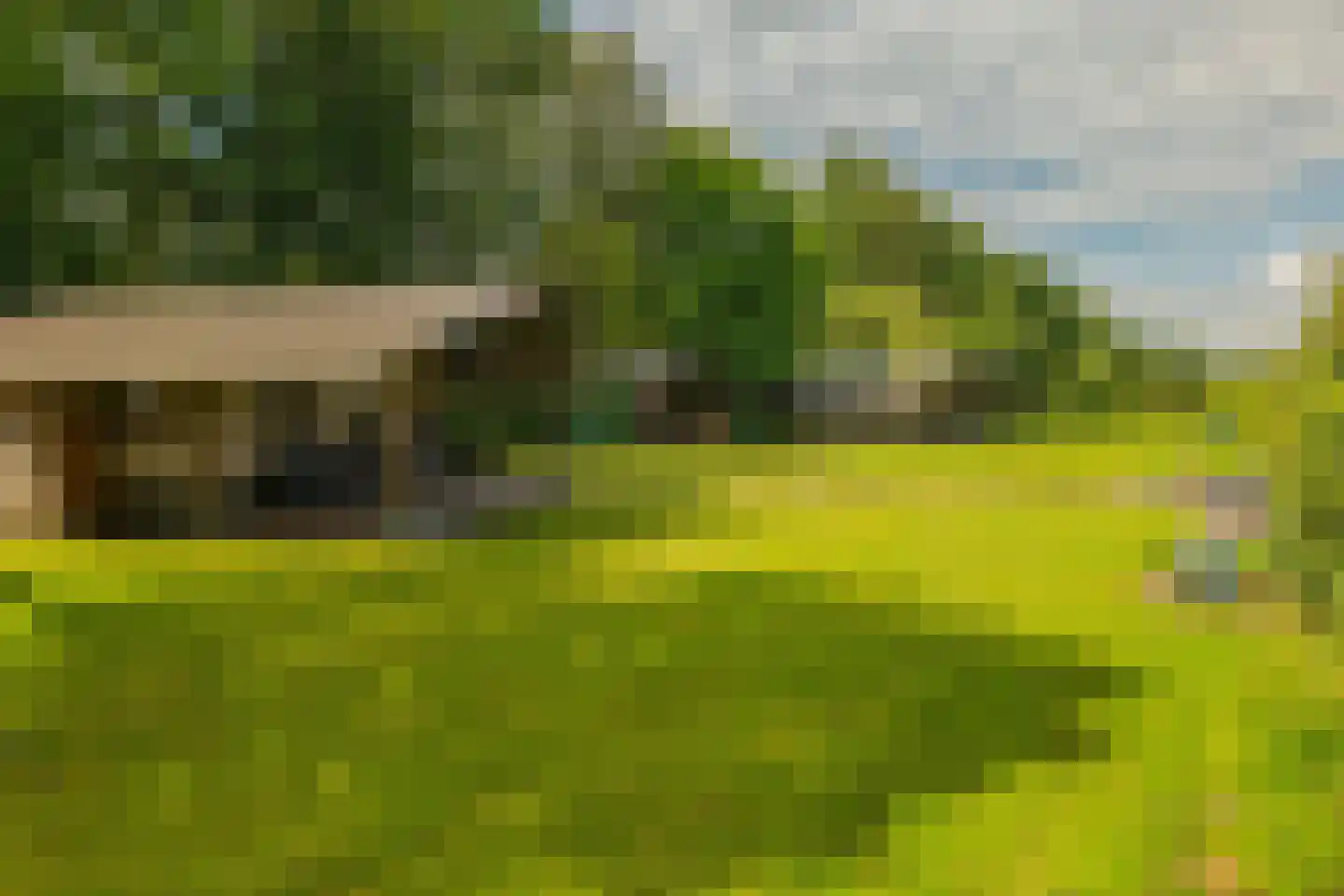Bultweg 7 Schoonebeek thumbnail 32