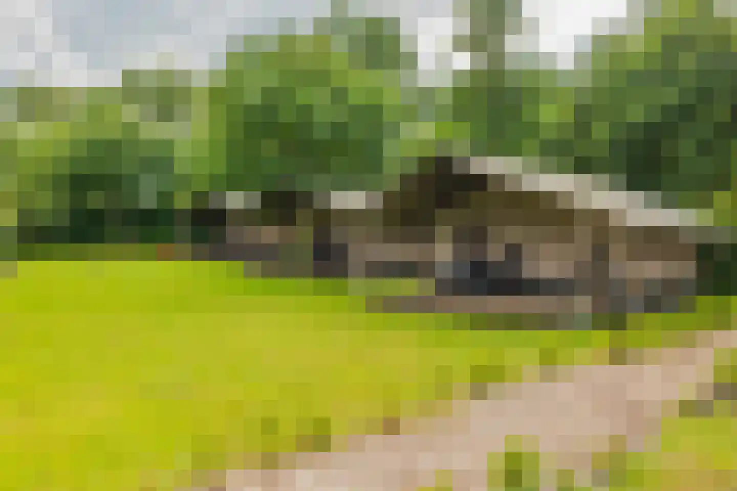 Bultweg 7 Schoonebeek thumbnail 33