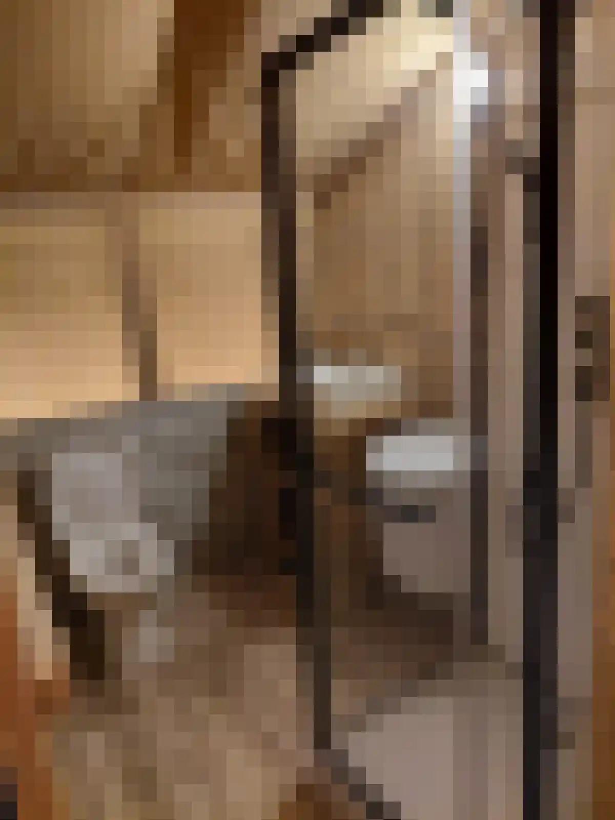 Bultweg 7 Schoonebeek thumbnail 34