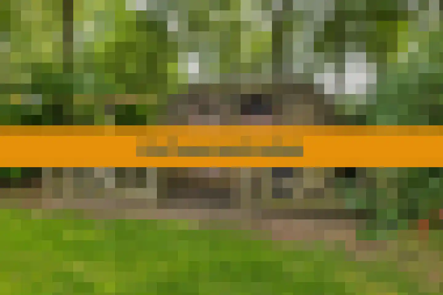 Bultweg 7 Schoonebeek thumbnail 38
