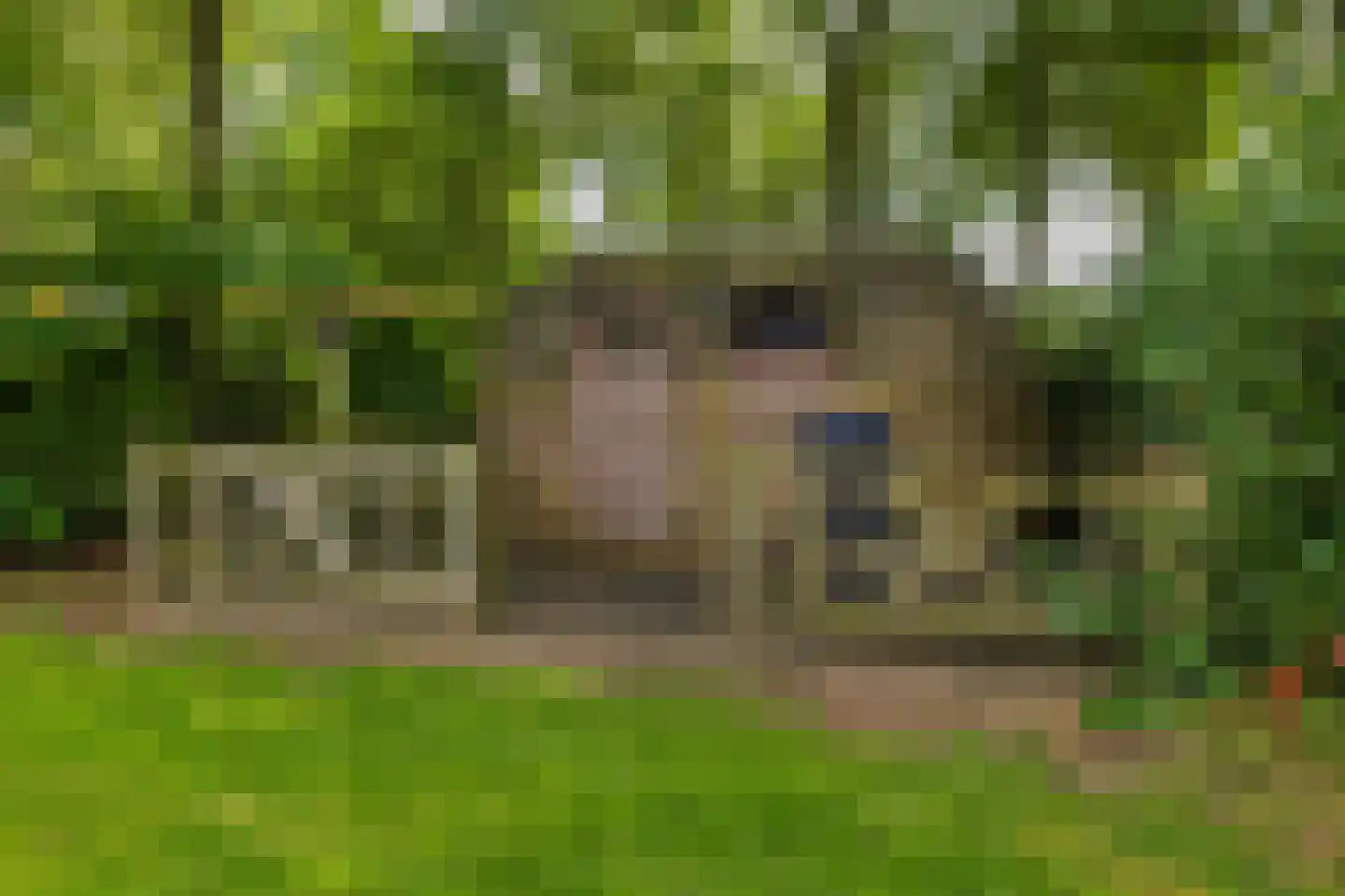Bultweg 7 Schoonebeek thumbnail 39
