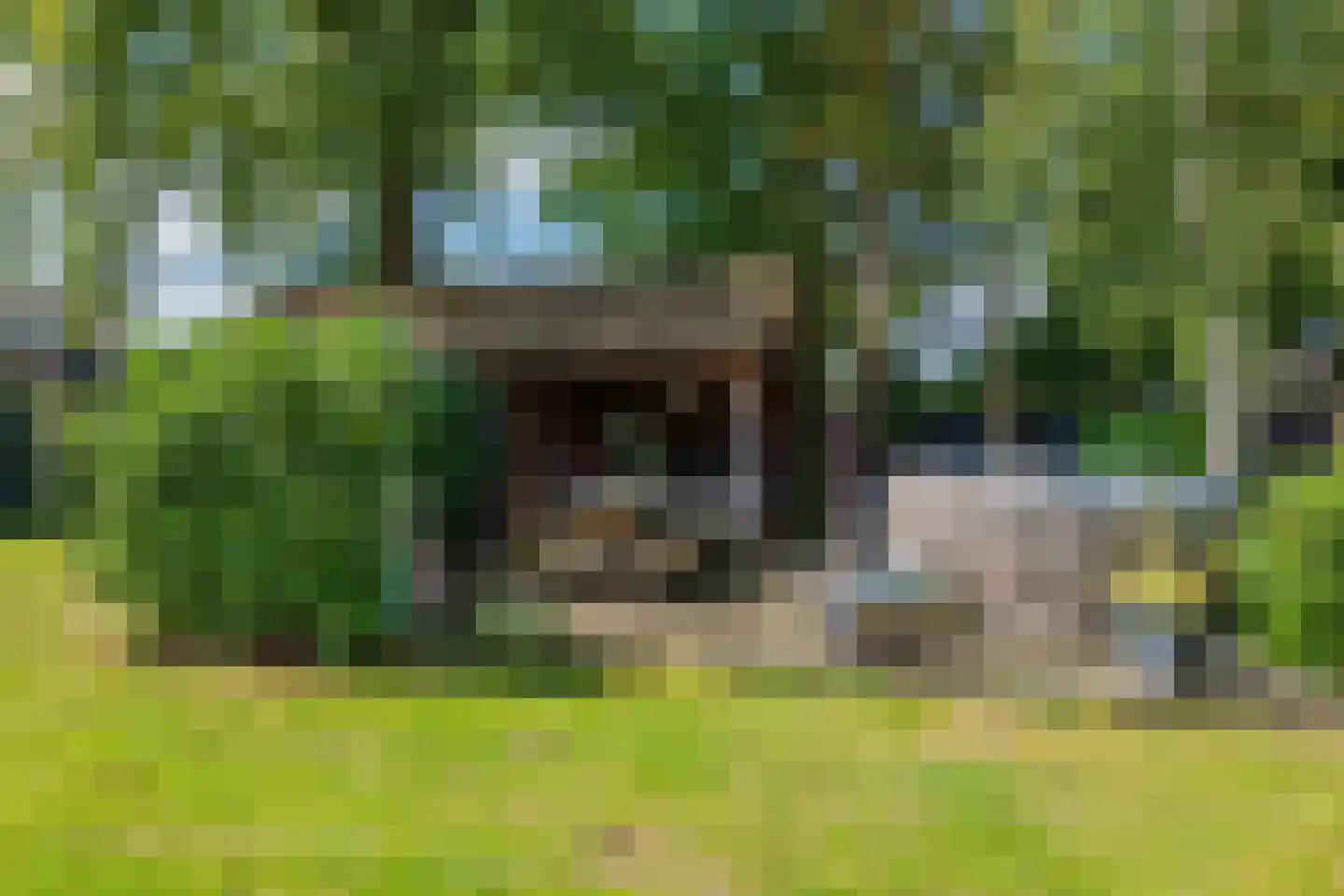 Bultweg 7 Schoonebeek thumbnail 4