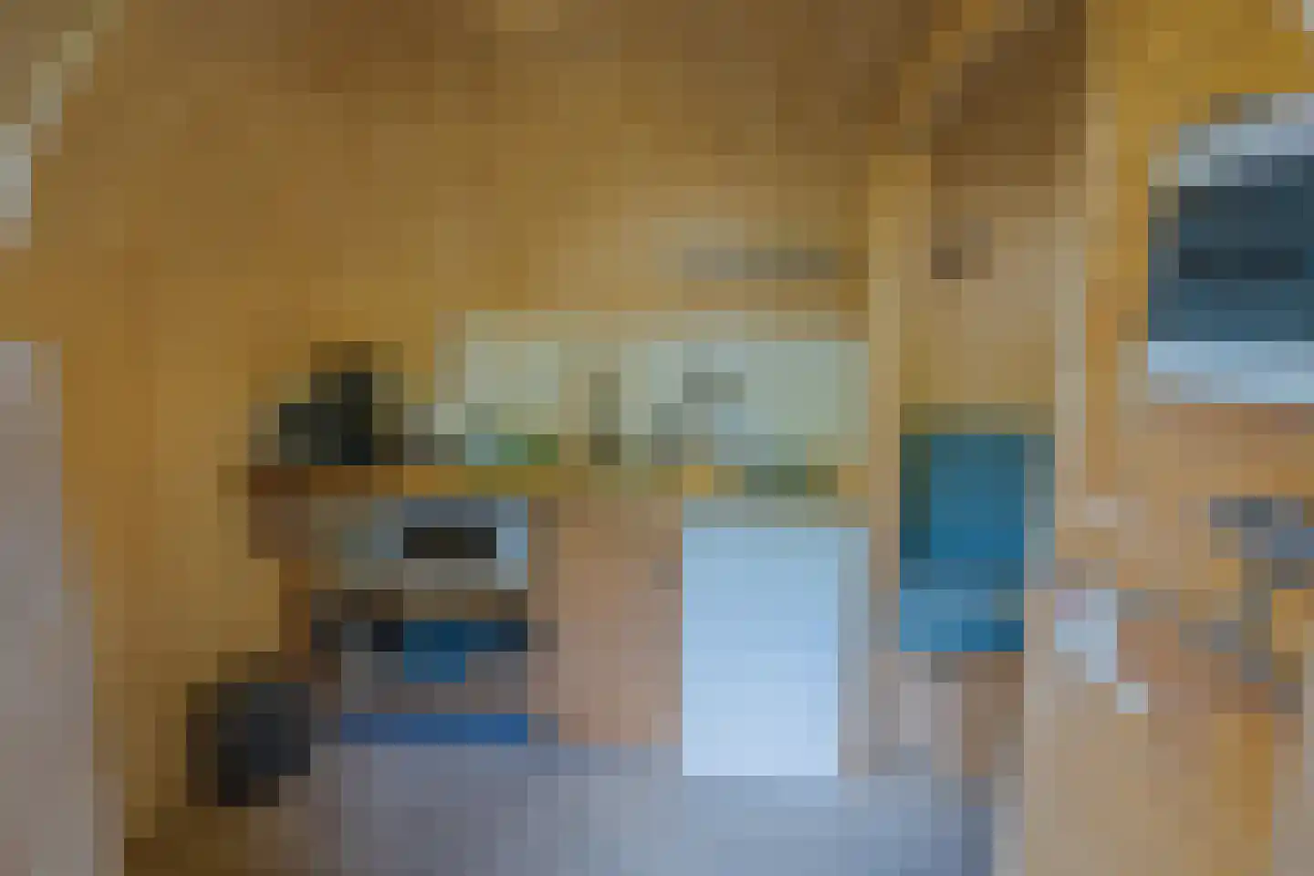 Bultweg 7 Schoonebeek thumbnail 40