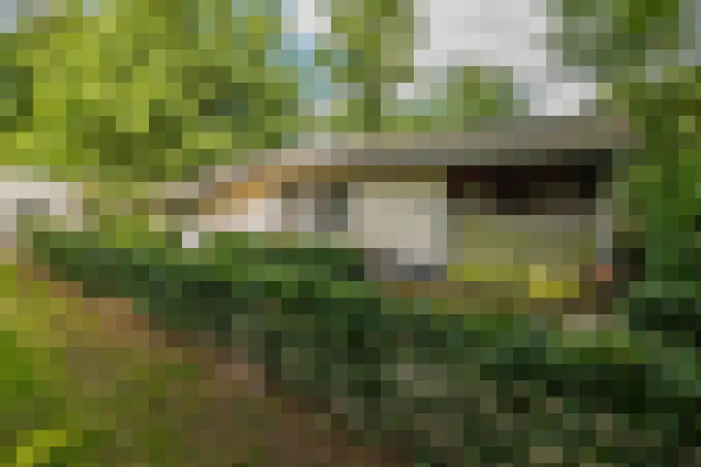 Bultweg 7 Schoonebeek thumbnail 42