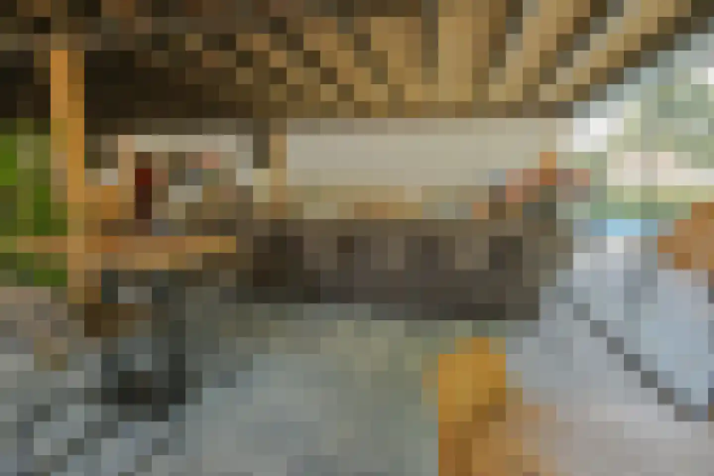 Bultweg 7 Schoonebeek thumbnail 47