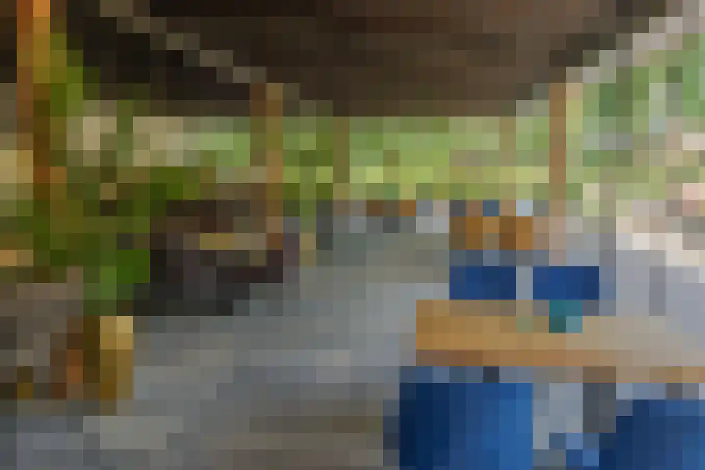 Bultweg 7 Schoonebeek thumbnail 49