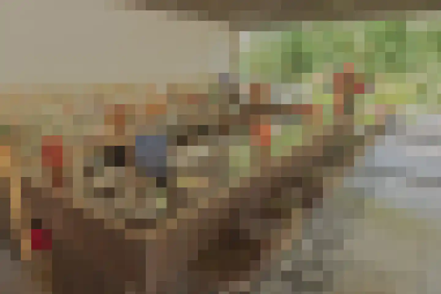 Bultweg 7 Schoonebeek thumbnail 50