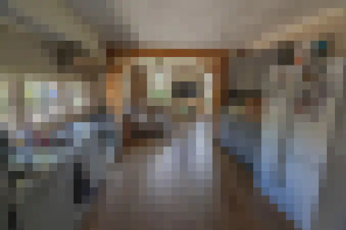 Bultweg 7 Schoonebeek thumbnail 6