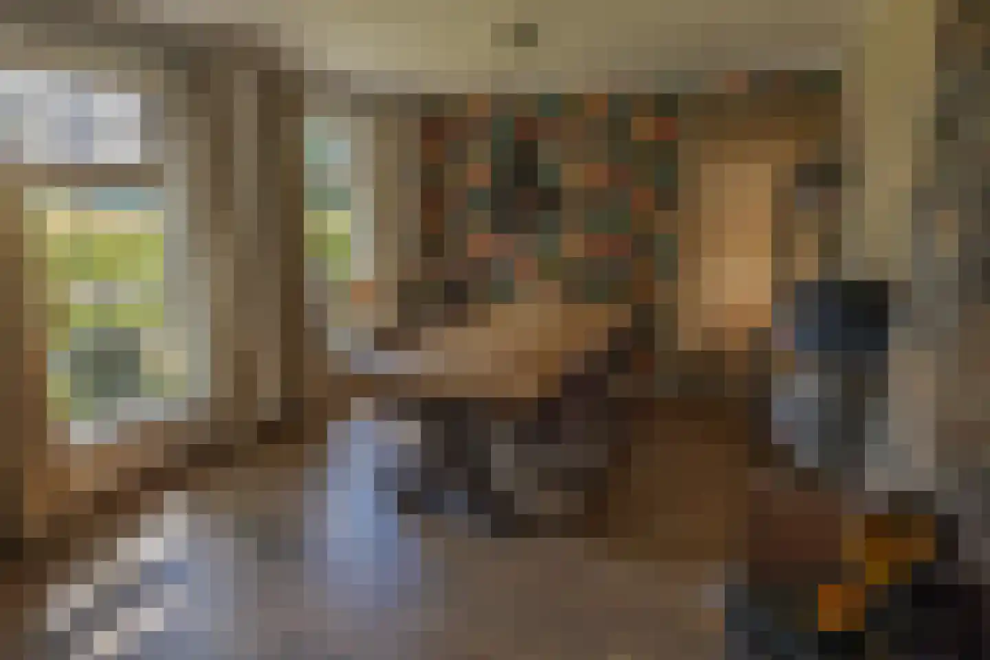 Bultweg 7 Schoonebeek thumbnail 7