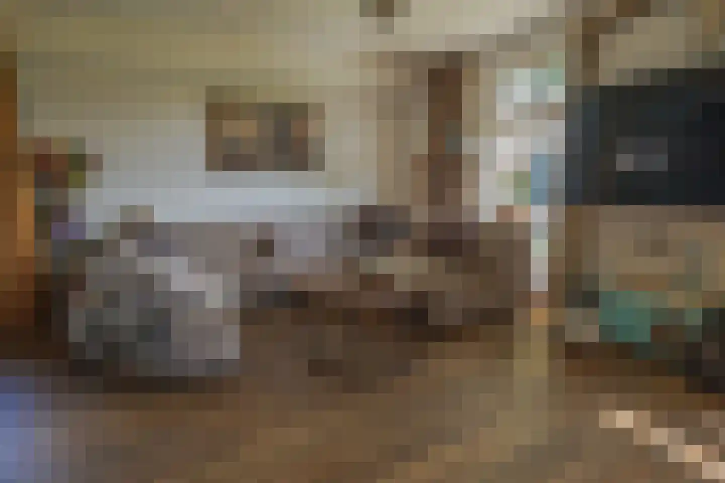 Bultweg 7 Schoonebeek thumbnail 8
