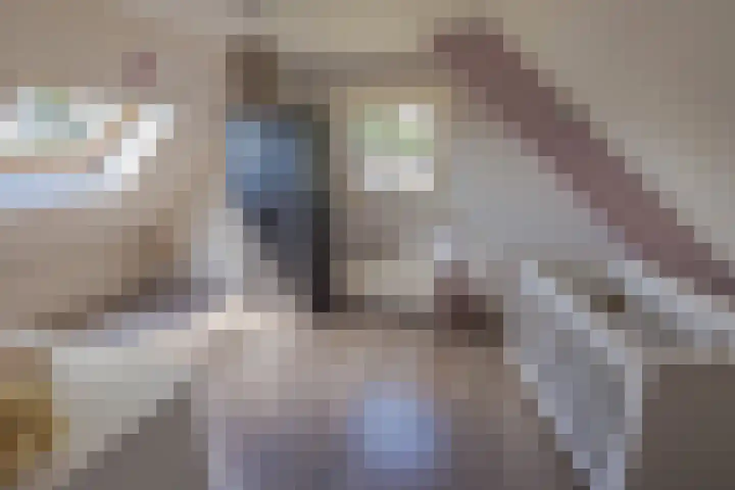 Bultweg 7 Schoonebeek thumbnail 9
