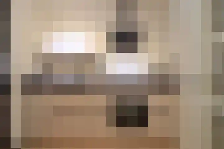 Bumalaan 132 Emmeloord thumbnail 13