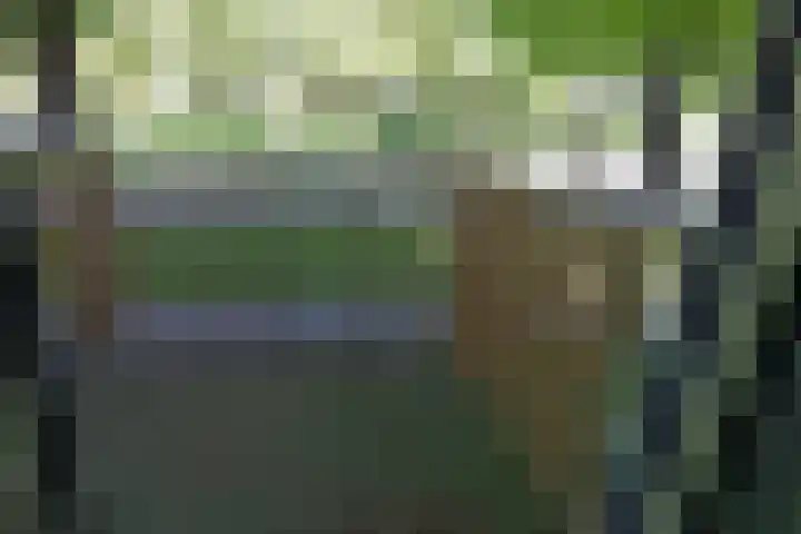 Bumalaan 132 Emmeloord thumbnail 19