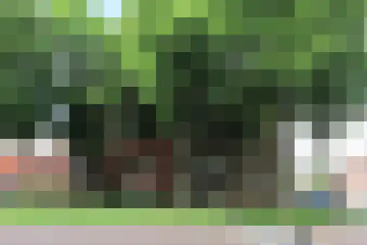 Bumalaan 132 Emmeloord thumbnail 23