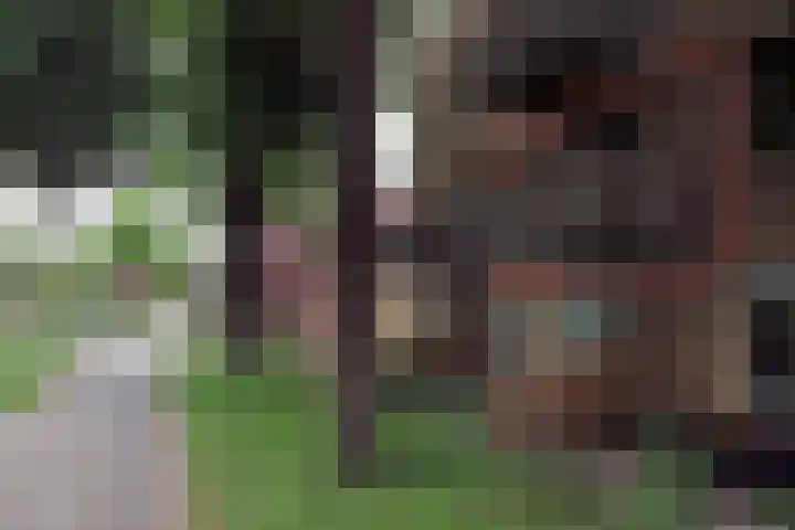 Bumalaan 132 Emmeloord thumbnail 24