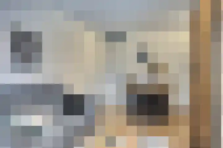 Bumalaan 138 Emmeloord thumbnail 10