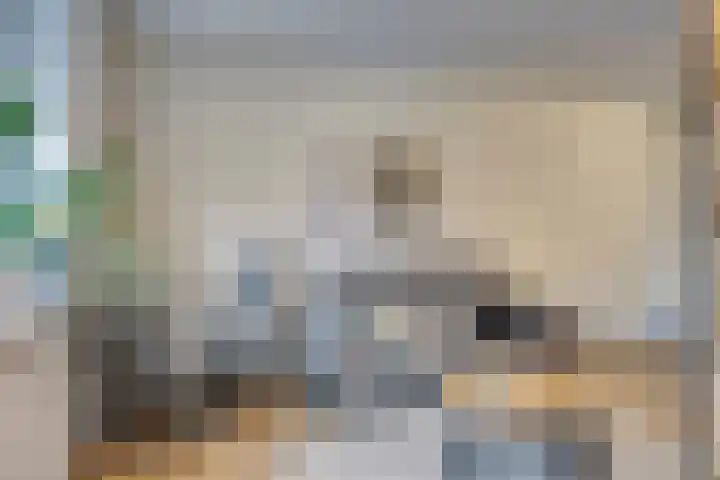 Bumalaan 138 Emmeloord thumbnail 11