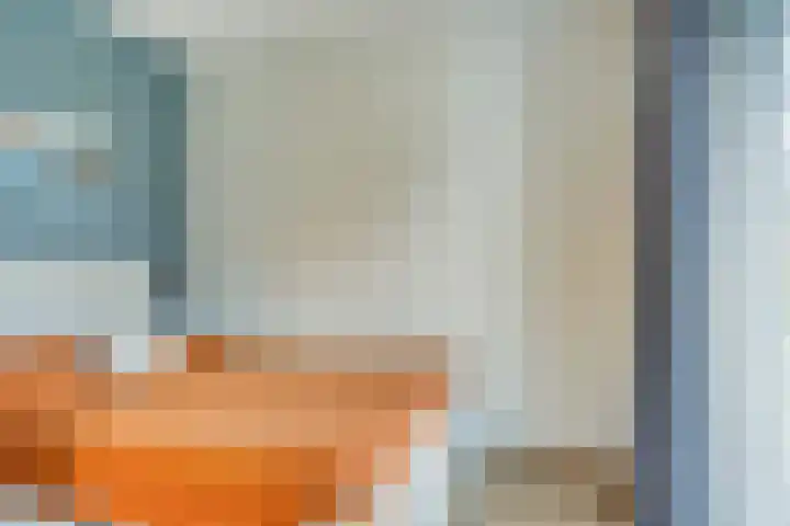 Bumalaan 138 Emmeloord thumbnail 12