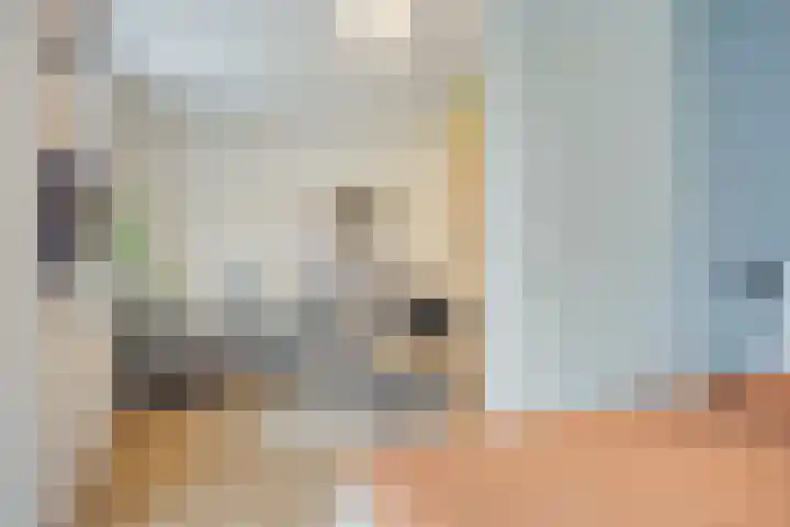Bumalaan 138 Emmeloord thumbnail 14