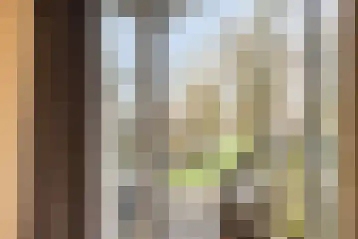 Bumalaan 138 Emmeloord thumbnail 15