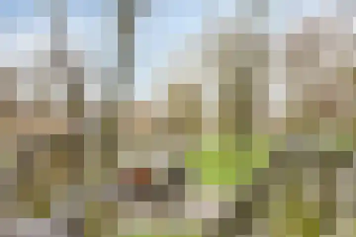 Bumalaan 138 Emmeloord thumbnail 16