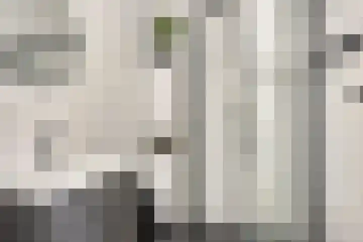 Bumalaan 138 Emmeloord thumbnail 21