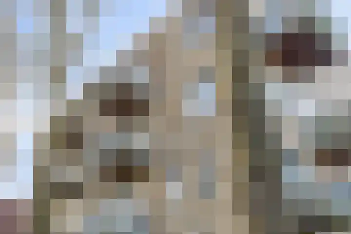 Bumalaan 138 Emmeloord thumbnail 22