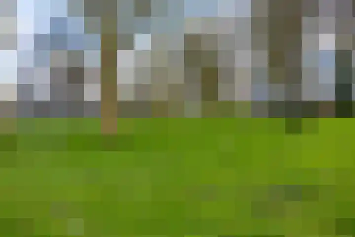 Bumalaan 138 Emmeloord thumbnail 25
